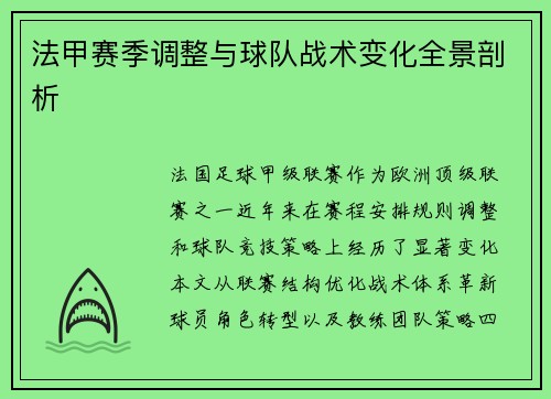 法甲赛季调整与球队战术变化全景剖析